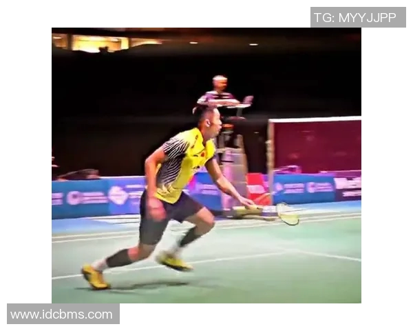 羽毛球传奇刘军的职业生涯与心路历程深度对话